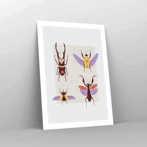 Poster - Insektenwelt - 50x70 cm