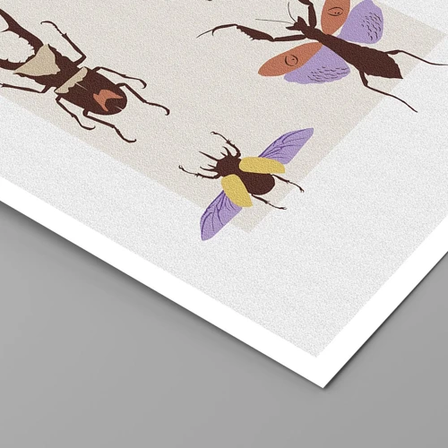 Poster - Insektenwelt - 50x70 cm