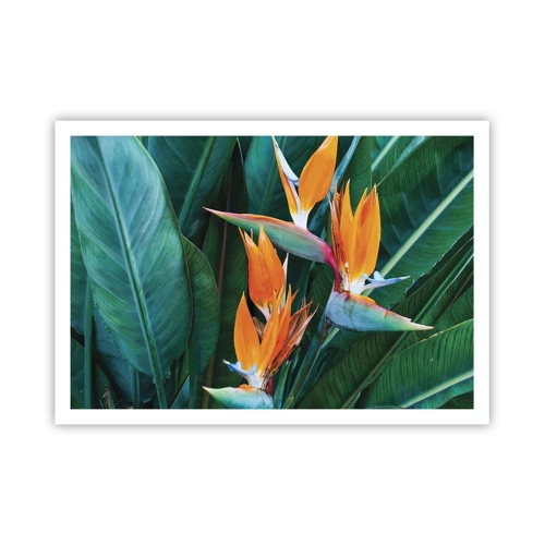 Poster - Ist es eine Blume oder ist es ein Vogel? - 100x70 cm