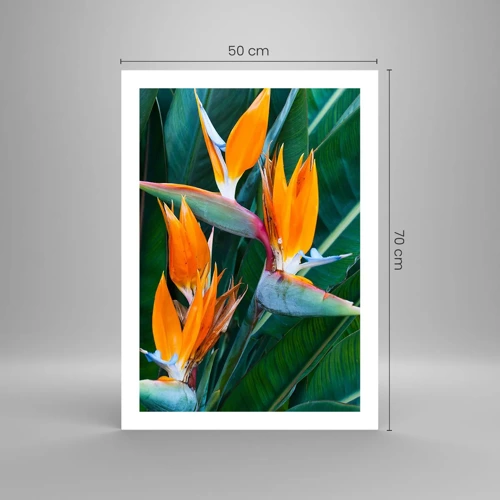Poster - Ist es eine Blume oder ist es ein Vogel? - 50x70 cm