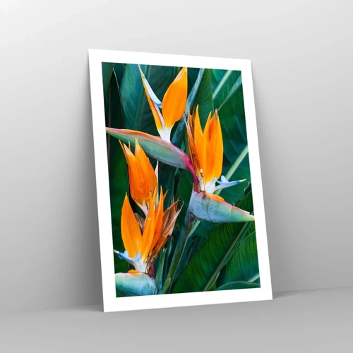 Poster - Ist es eine Blume oder ist es ein Vogel? - 50x70 cm