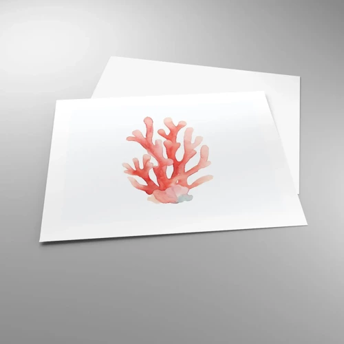 Poster - Korallenfarbene Koralle - 50x40 cm