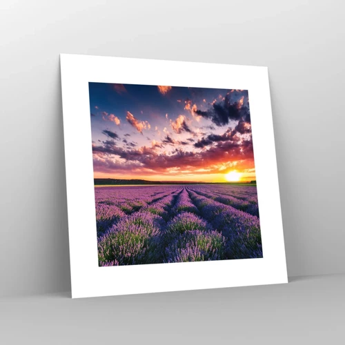 Poster - Lavendel Welt - 30x30 cm