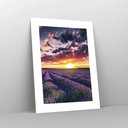 Poster - Lavendel Welt - 30x40 cm