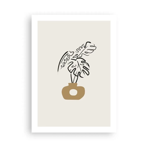 Poster - Monstera – Heimdekoration - 50x70 cm