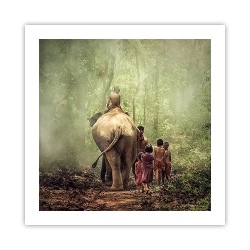 Poster - Neues Dschungelbuch - 50x50 cm