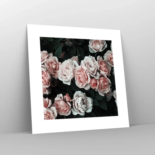 Poster - Rosen-Ensemble - 30x30 cm