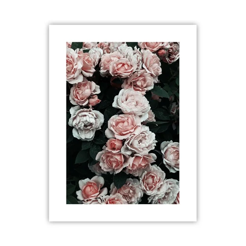 Poster - Rosen-Ensemble - 30x40 cm