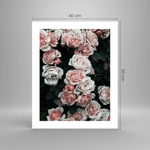 Poster - Rosen-Ensemble - 40x50 cm