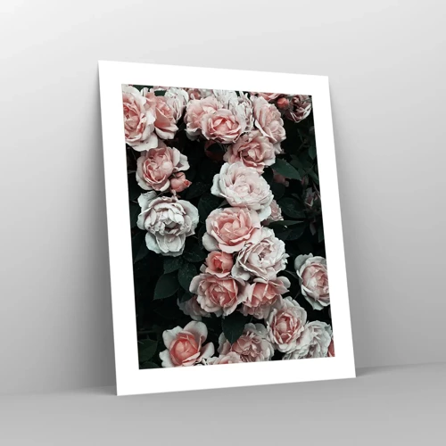 Poster - Rosen-Ensemble - 40x50 cm