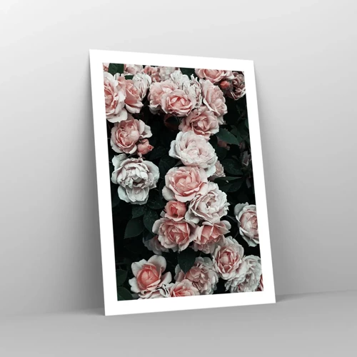 Poster - Rosen-Ensemble - 50x70 cm