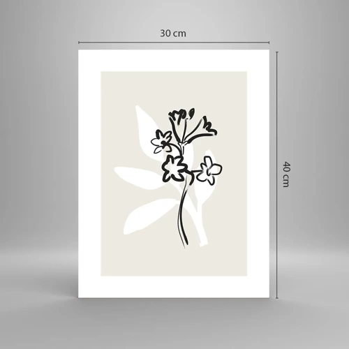 Poster - Skizze für das Herbarium - 30x40 cm