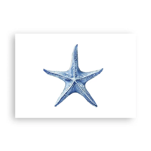 Poster - Stern des Meeres - 100x70 cm