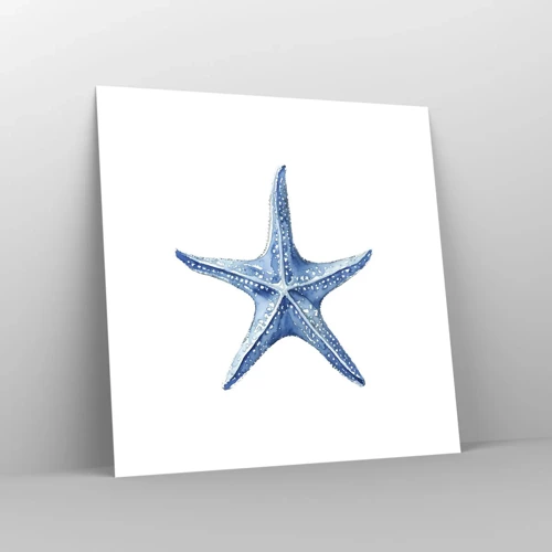Poster - Stern des Meeres - 30x30 cm