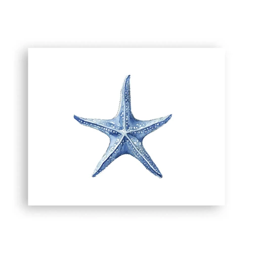 Poster - Stern des Meeres - 50x40 cm