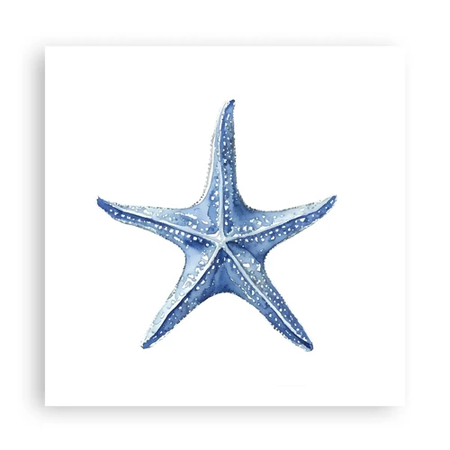 Poster - Stern des Meeres - 60x60 cm