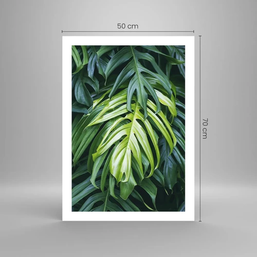 Poster - Tauchen Sie ein in die Frische - 50x70 cm