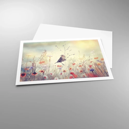 Poster - Vogelporträt mit einer Wiese im Hintergrund - 91x61 cm