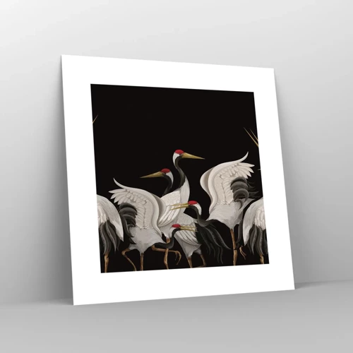 Poster - Vogelsachen - 30x30 cm