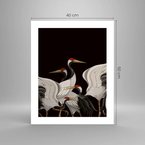 Poster - Vogelsachen - 40x50 cm