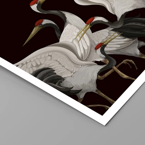 Poster - Vogelsachen - 50x40 cm