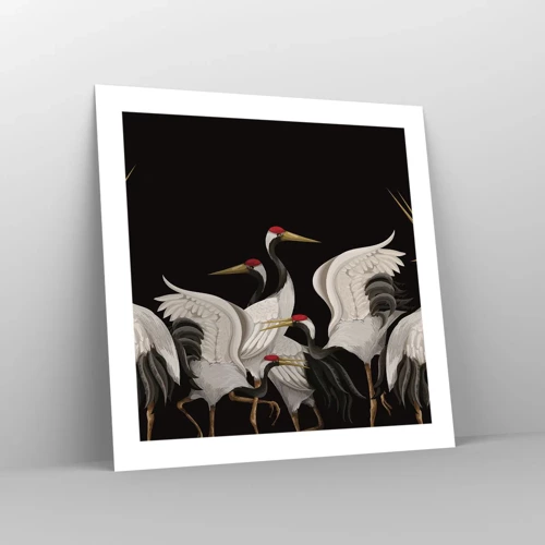 Poster - Vogelsachen - 50x50 cm