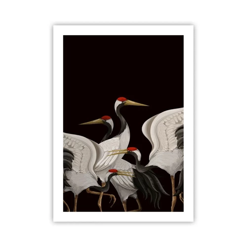 Poster - Vogelsachen - 50x70 cm