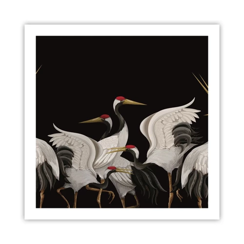 Poster - Vogelsachen - 60x60 cm