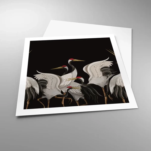 Poster - Vogelsachen - 60x60 cm