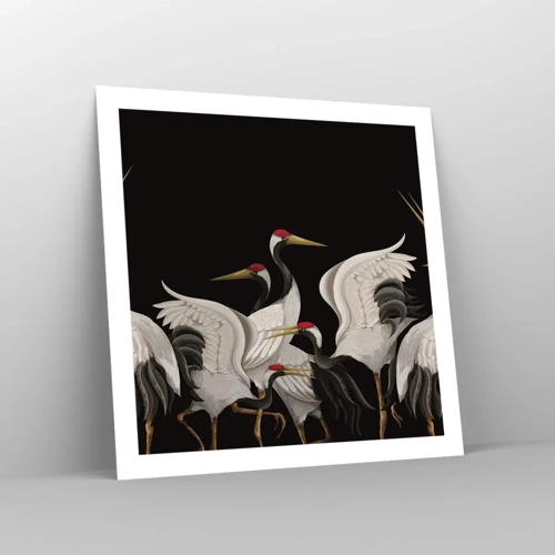 Poster - Vogelsachen - 60x60 cm