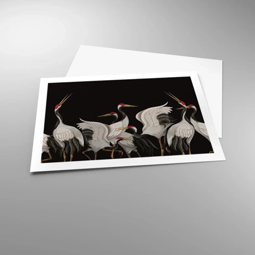 Poster - Vogelsachen - 70x50 cm