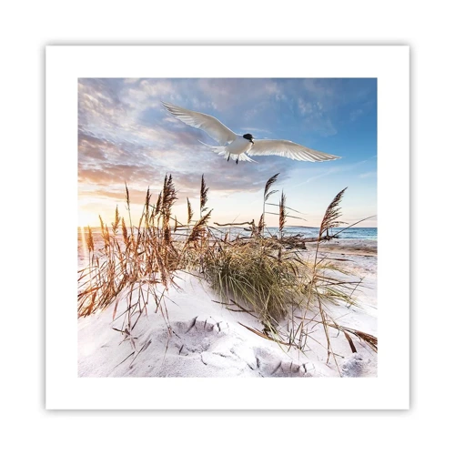 Poster - Wind vom Meer - 40x40 cm