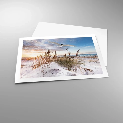 Poster - Wind vom Meer - 70x50 cm