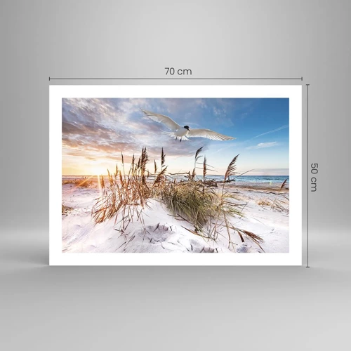 Poster - Wind vom Meer - 70x50 cm