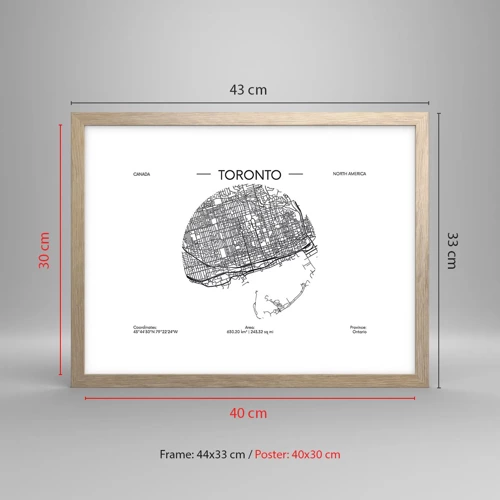 Poster in einem Rahmen aus heller Eiche - Anatomie von Toronto - 40x30 cm