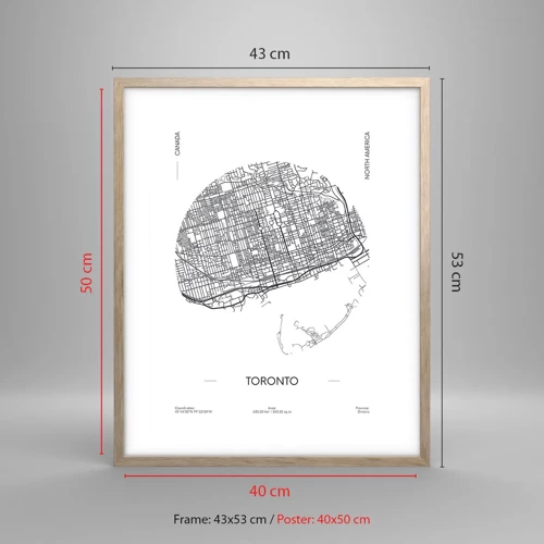 Poster in einem Rahmen aus heller Eiche - Anatomie von Toronto - 40x50 cm