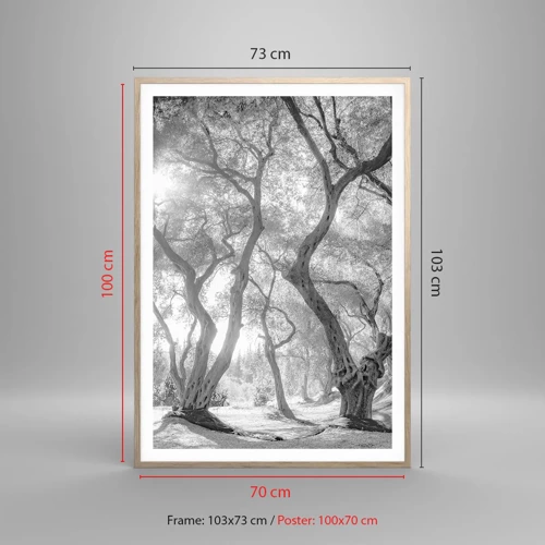 Poster in einem Rahmen aus heller Eiche - Im Olivenhain - 70x100 cm