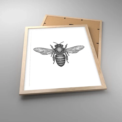 Poster in einem Rahmen aus heller Eiche - Insektenporträt - 40x50 cm