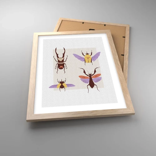 Poster in einem Rahmen aus heller Eiche - Insektenwelt - 30x40 cm
