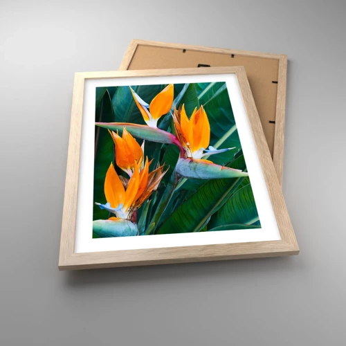 Poster in einem Rahmen aus heller Eiche - Ist es eine Blume oder ist es ein Vogel? - 30x40 cm
