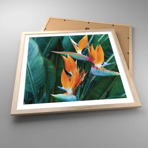 Poster in einem Rahmen aus heller Eiche - Ist es eine Blume oder ist es ein Vogel? - 50x50 cm