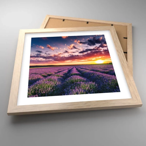 Poster in einem Rahmen aus heller Eiche - Lavendel Welt - 30x30 cm