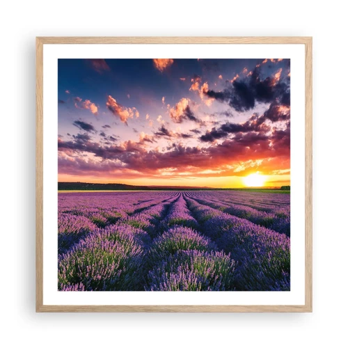 Poster in einem Rahmen aus heller Eiche - Lavendel Welt - 60x60 cm