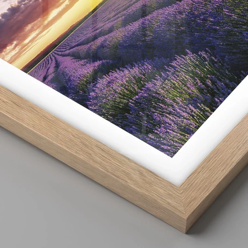 Poster in einem Rahmen aus heller Eiche - Lavendel Welt - 91x61 cm