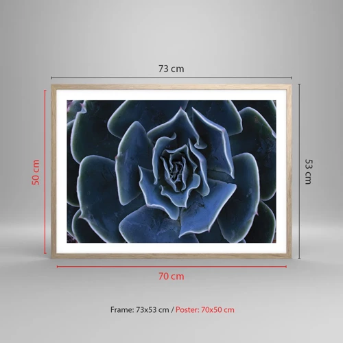 Poster in einem Rahmen aus heller Eiche - Wüstenblume - 70x50 cm