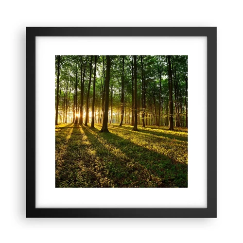 Poster in einem schwarzem Rahmen - Alle Frühlingsfotografie - 30x30 cm