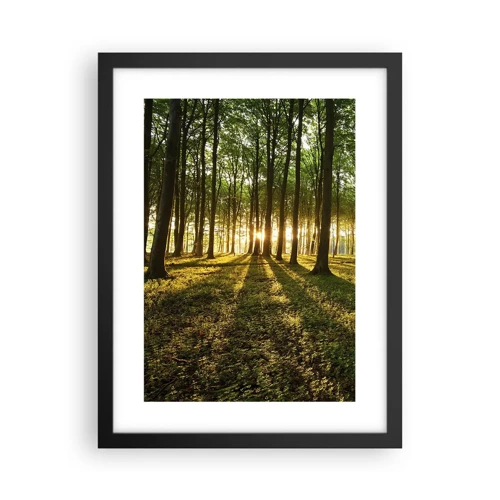 Poster in einem schwarzem Rahmen - Alle Frühlingsfotografie - 30x40 cm