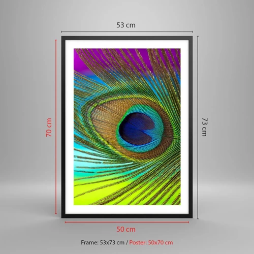 Poster in einem schwarzem Rahmen - Auge in Auge - 50x70 cm