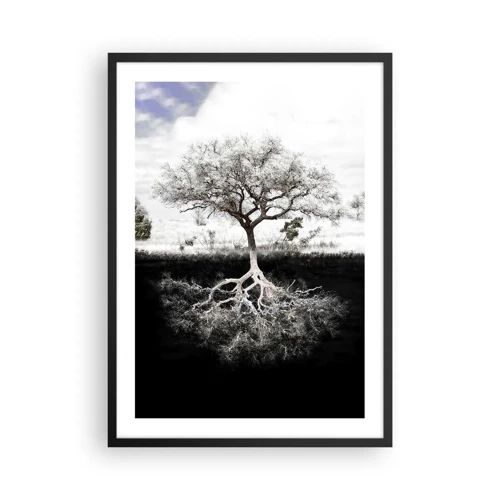 Poster in einem schwarzem Rahmen - Die Natur der Welt entdecken - 50x70 cm