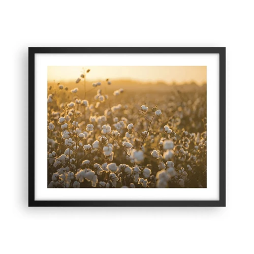 Poster in einem schwarzem Rahmen - Fluffiges Feld - 50x40 cm